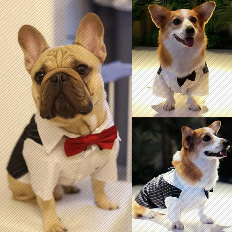 Color: Dark Brown, Size: 5XL - Dog Gentleman Wedding Suit Clothes Dog Suit Bow Tie Clothes Halloween Christmas Costume For Small Dogs Teddy Bulldog