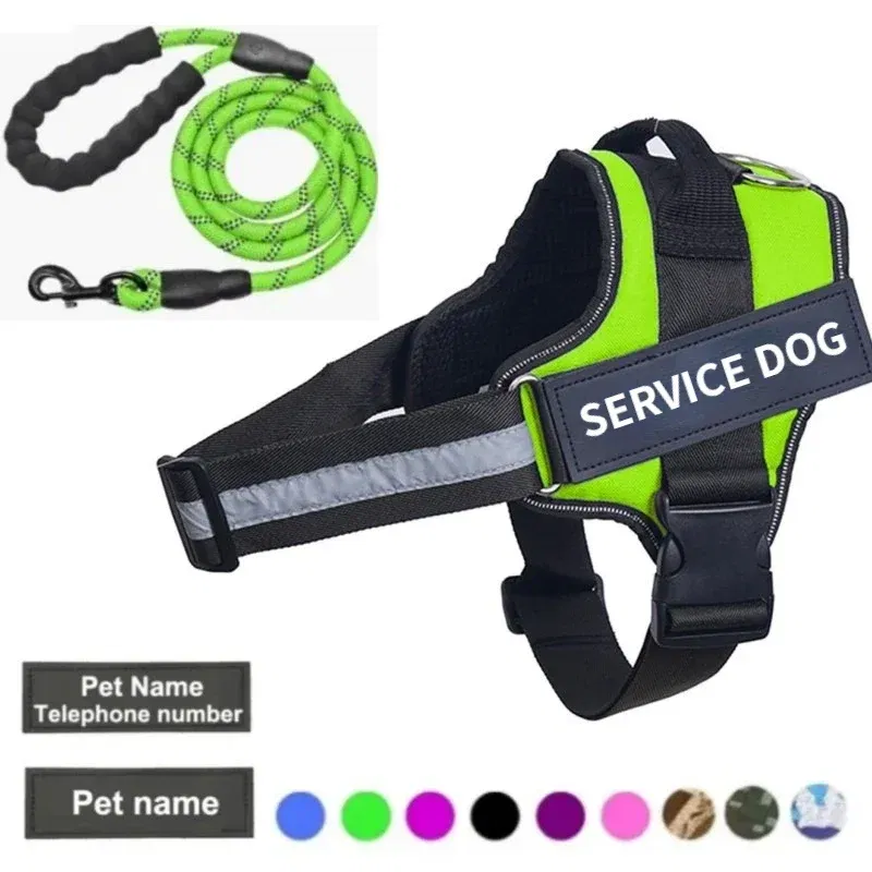 Color: Sky blue, Size: M - Custom Dog Harness Reflective and Breathable Adjustable Tank Top Free Personalized Name Label Pet leash Set