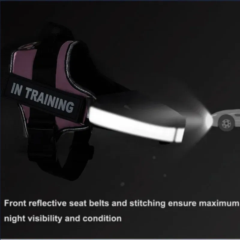 Color: Sky blue, Size: M - Custom Dog Harness Reflective and Breathable Adjustable Tank Top Free Personalized Name Label Pet leash Set