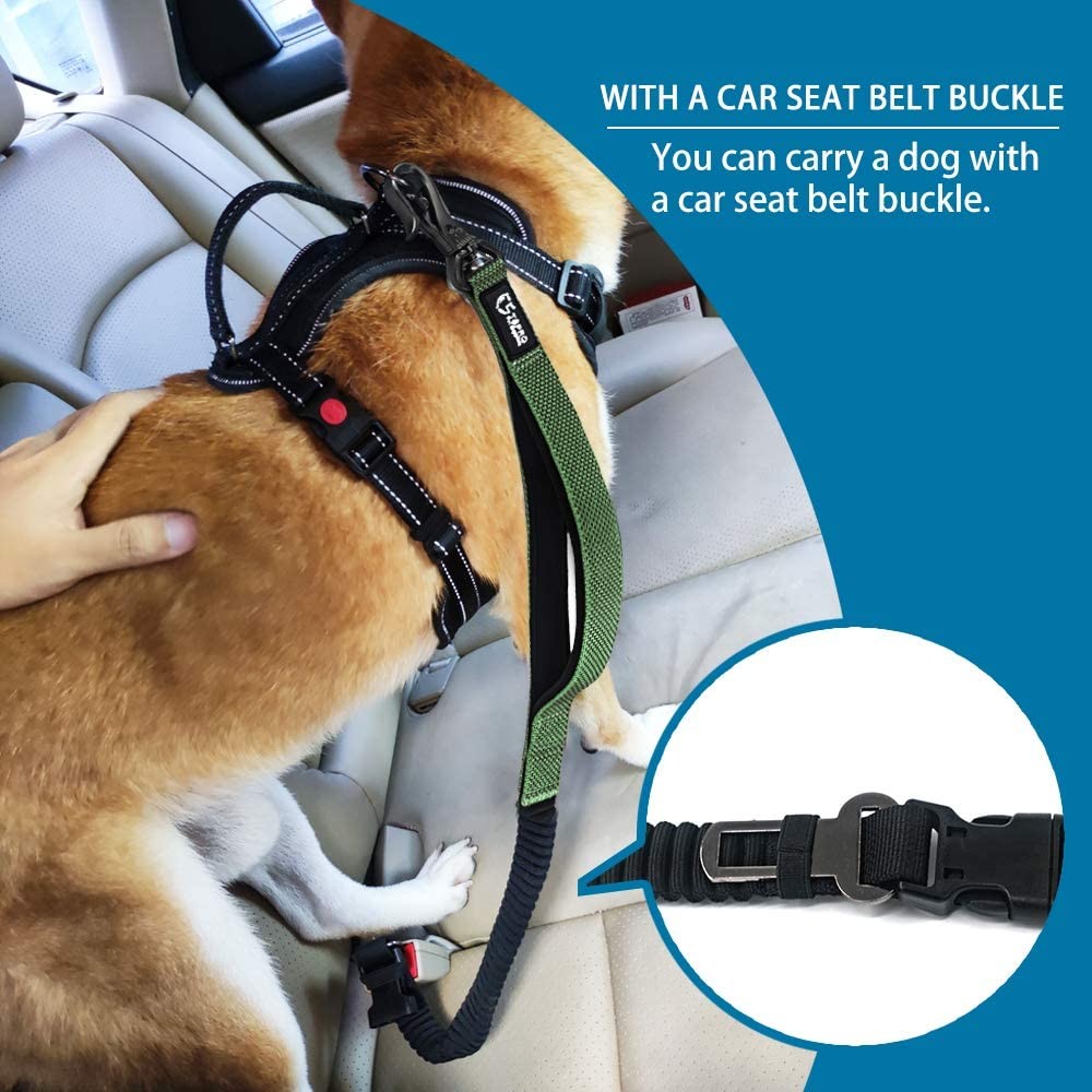Roamer Bungee Dog Leash Stretch Webbing Hands-Free Leash