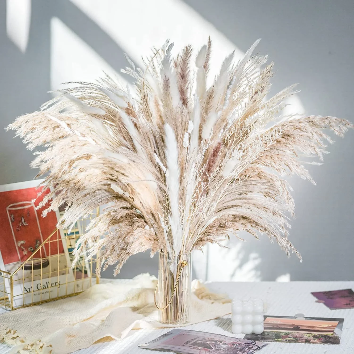 rabbit tail grass