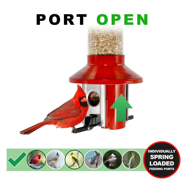 Roamwild PestOff Squirrel Proof Bird Feeder