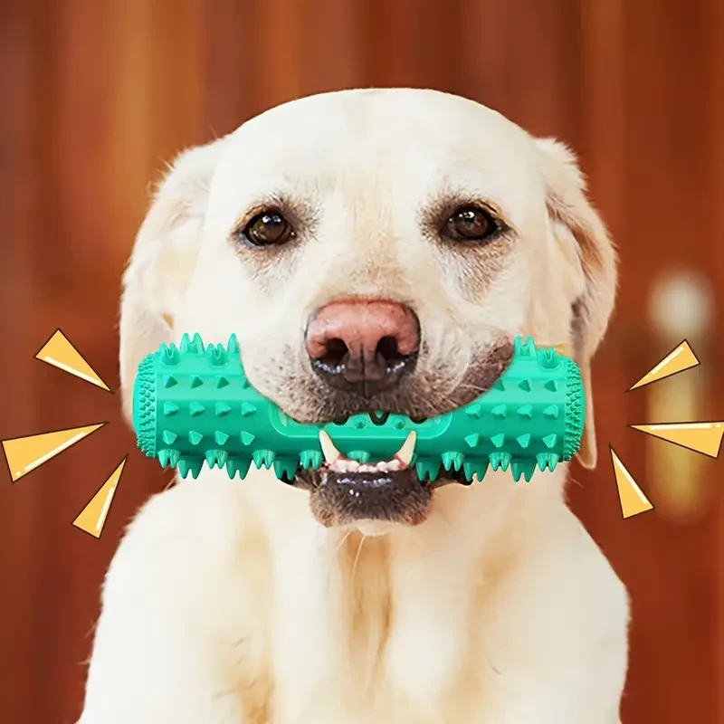 Durable Dog Toothbrush - Pet Molar Stick & Chew Toy for Dental Health