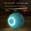 Smart Cat Toys Rolling Ball Pet Cat Owner