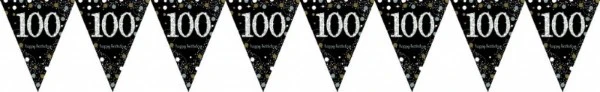 Banner - Sparkling Celebration 100 Prismatic Pennant - Plastic