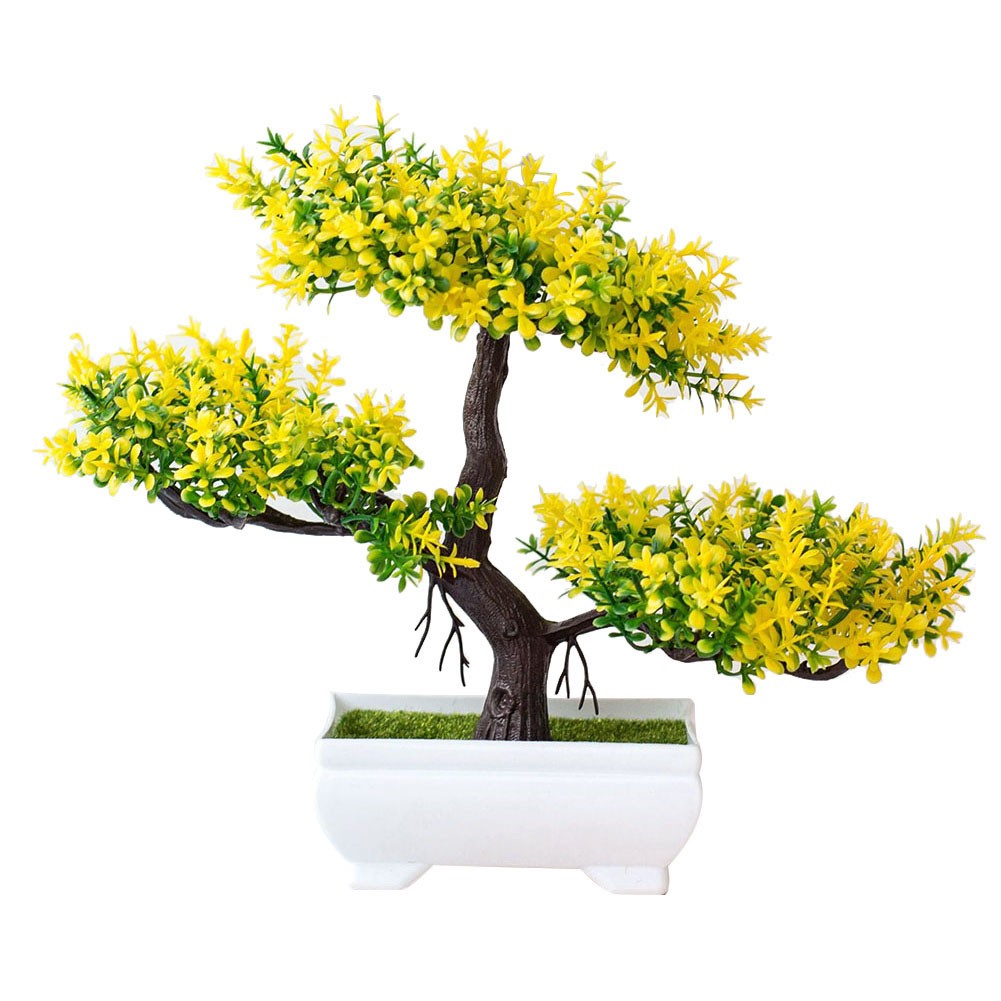 Bonsai Tree for Living Room Home Office