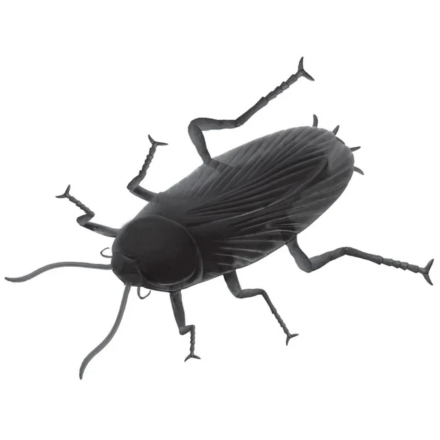 Halloween Prop - Giant Cockroach (30cm)