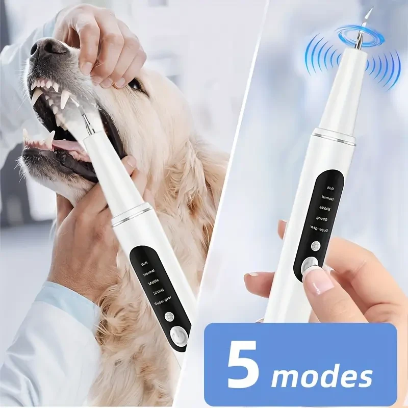1 Pet Electric Tooth Cleaner, 4 Modes