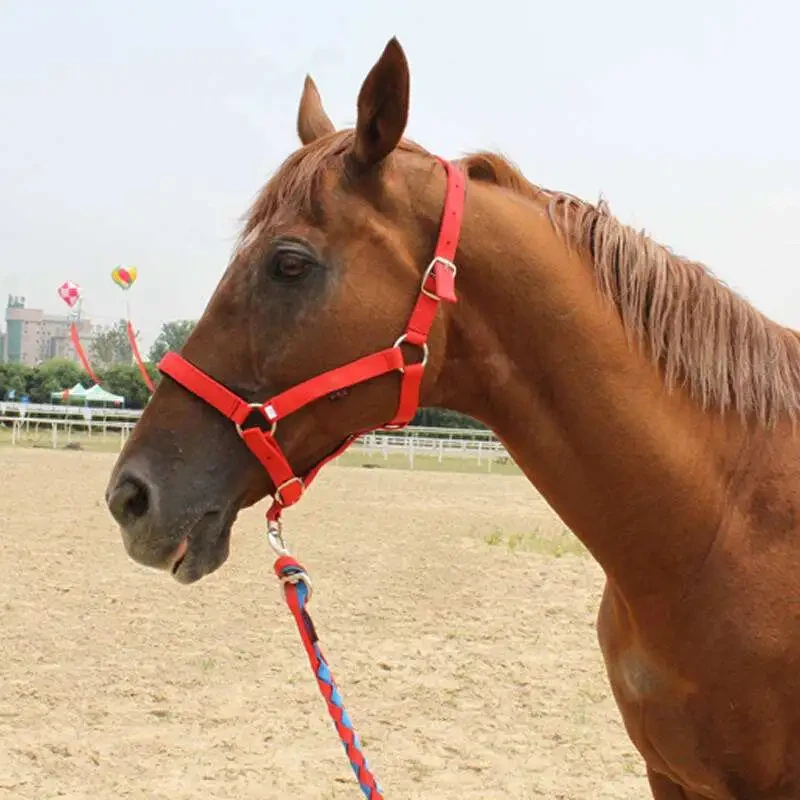 Customizable Horse Bridle