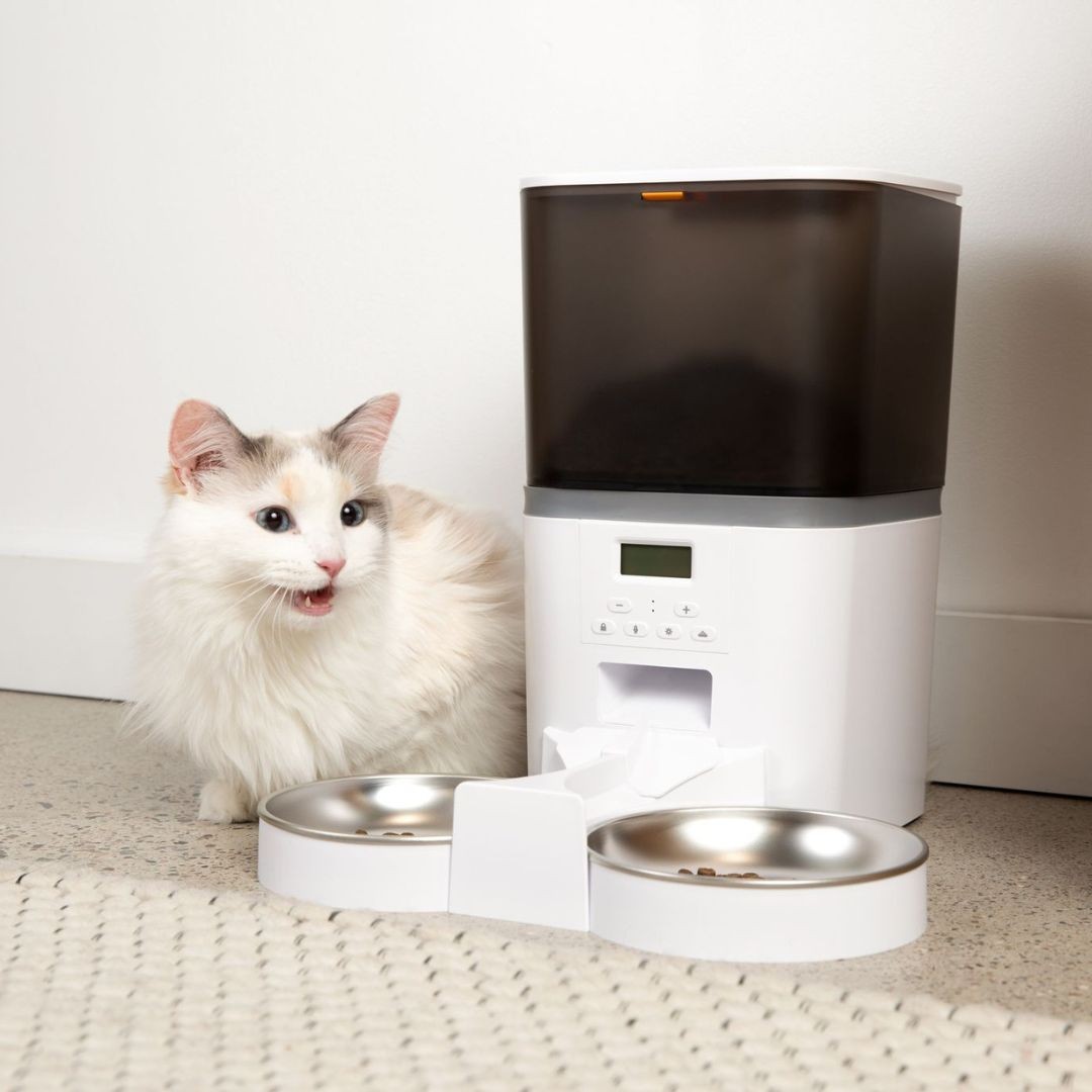 The KittyFeeder™ Automatic Cat Feeder