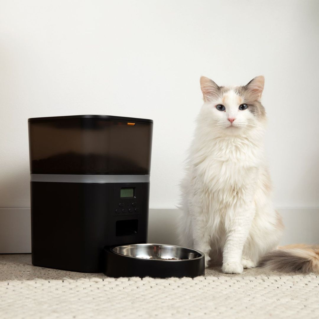 The KittyFeeder™ Automatic Cat Feeder