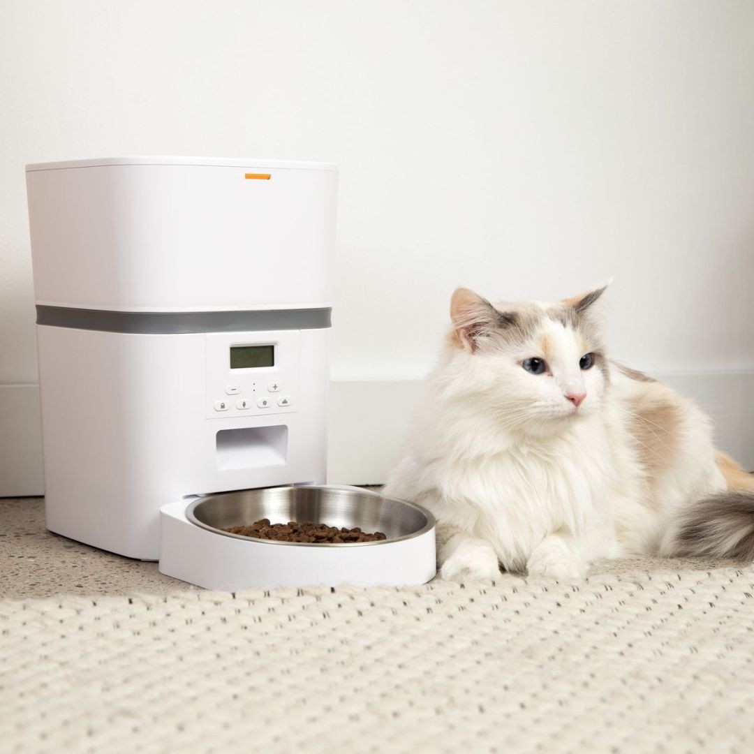 The KittyFeeder™ Automatic Cat Feeder