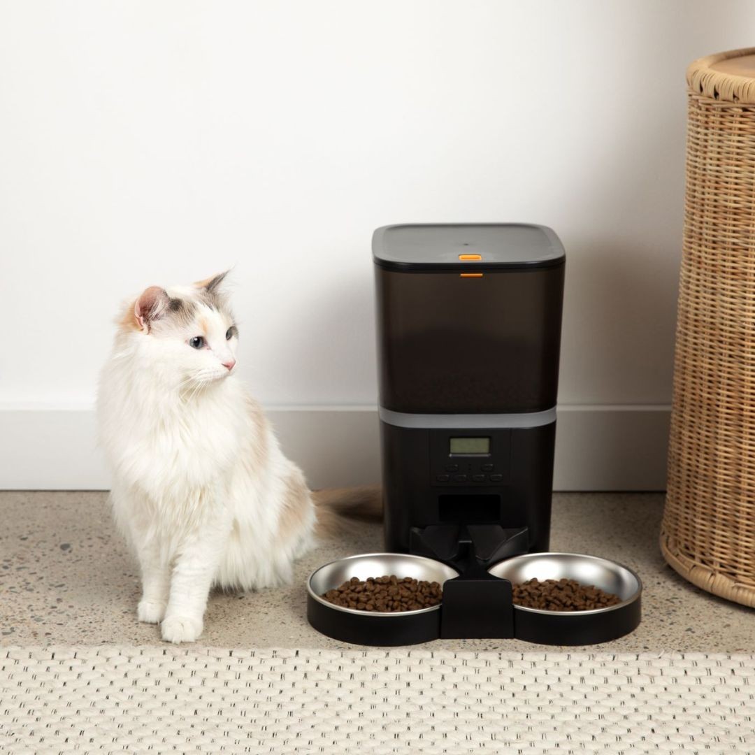 The KittyFeeder™ Automatic Cat Feeder