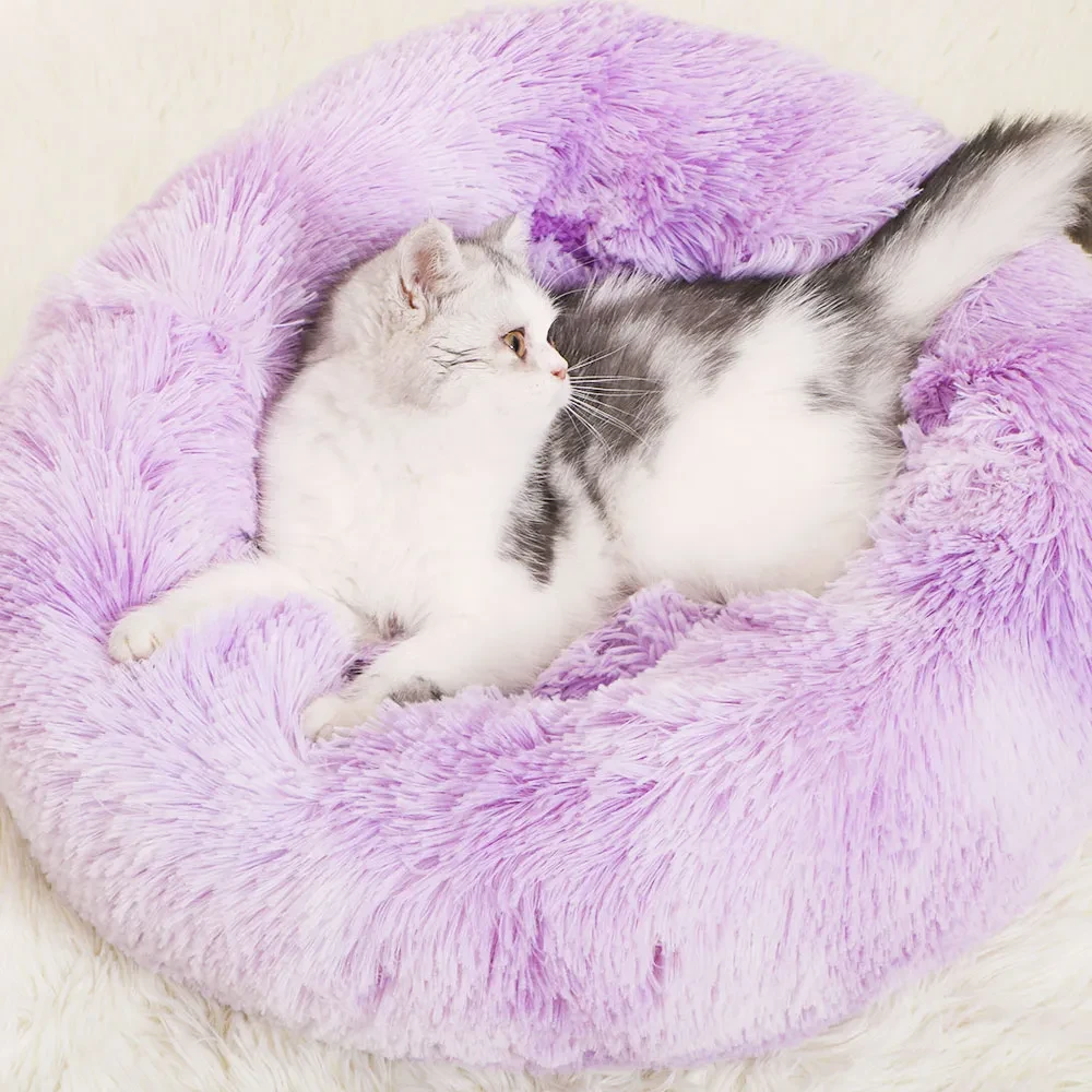 Dog Beds For Small Dogs Round Plush