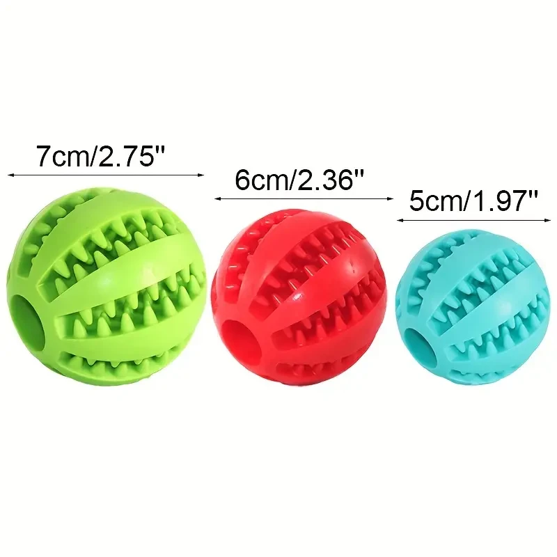 Interactive Molar Dog Toy