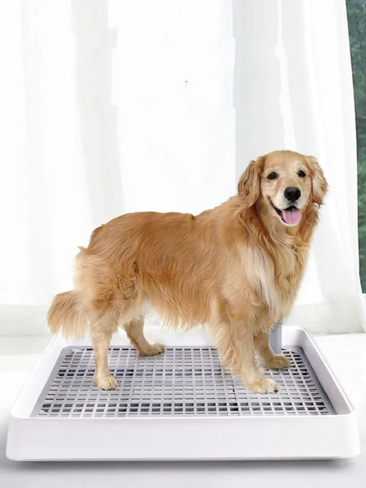 Pet poop and urinal