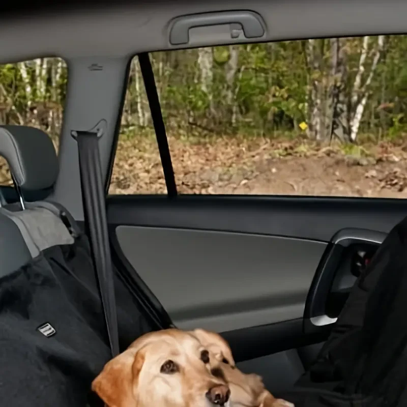 Car Back Seat Dog Mat - Waterproof Pet Seat Protector