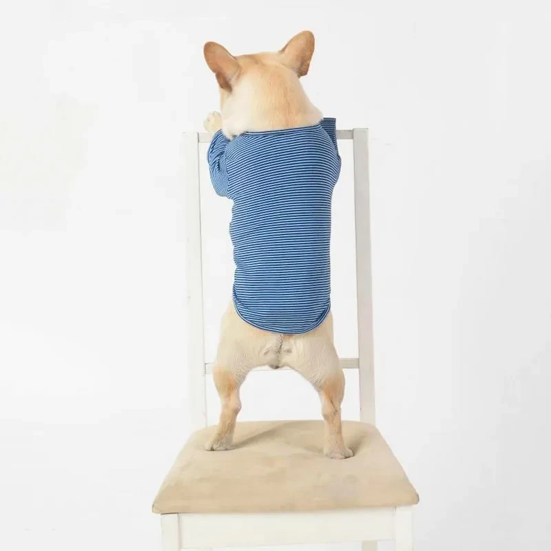 Dog Clothes Teddy Puppy Pet Clothes