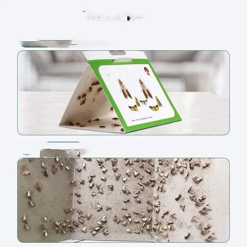 Moths Trapper Kill Moths And Rice Worms 5 Pieces