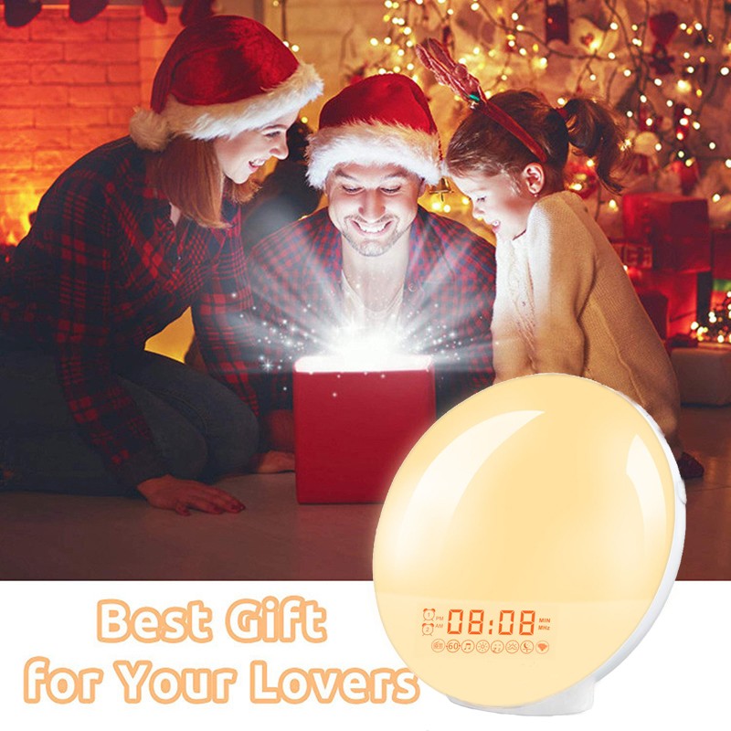 Wake Up Light Alarm Clock  Sunrise/Sunset Simulation, Dual Alarms, FM Radio, Nightlight with 7 Colors