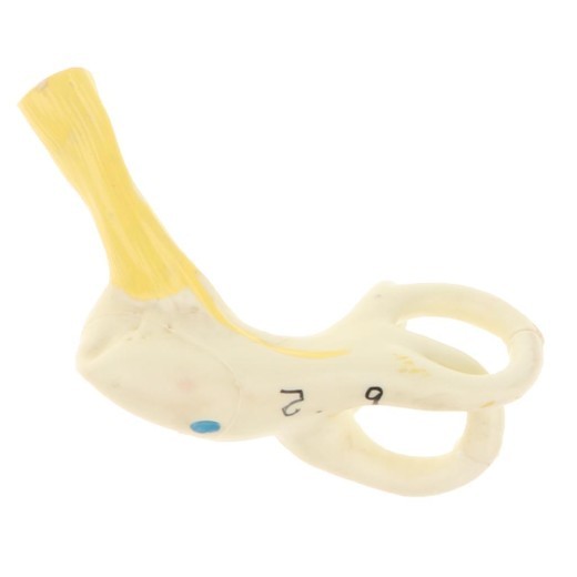 Ear Model