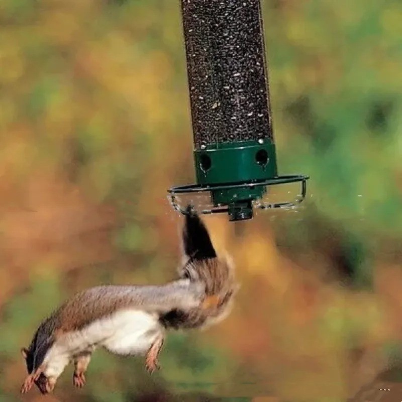 Outdoor Courtyard Hanging Hummingbird Water Feeder