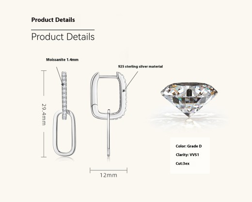 Light Luxury Design Double Ring Moissanite High Sense Niche S925 Silver Tassel Earrings