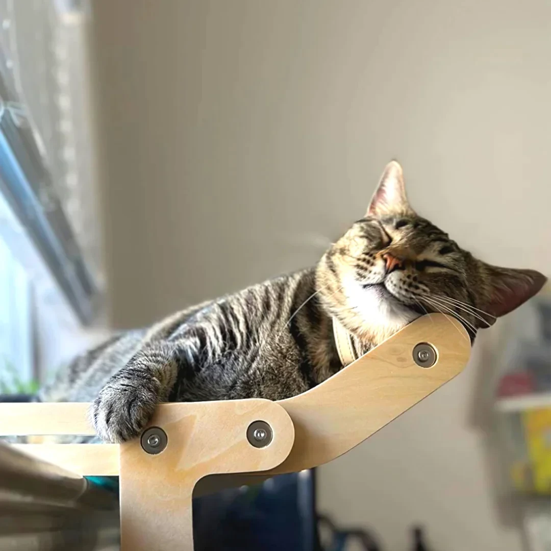 Peachhomesss Cat's Sky Lounge