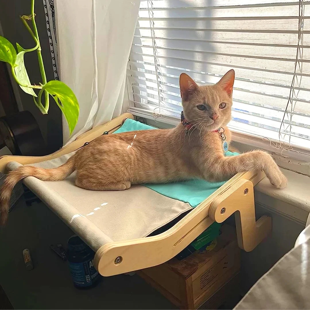 Peachhomesss Cat's Sky Lounge