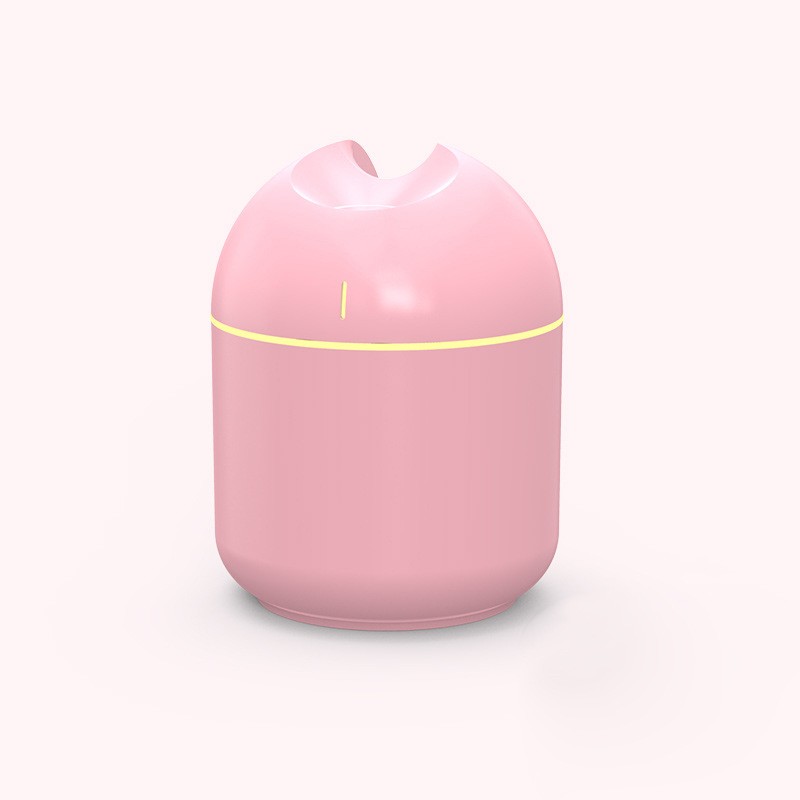 Bedroom Pregnant Woman Mini Baby Office Big Spray Car