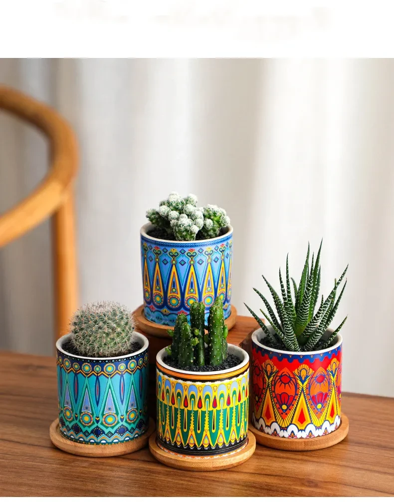 Simple Home Plant Potted Flowerpot