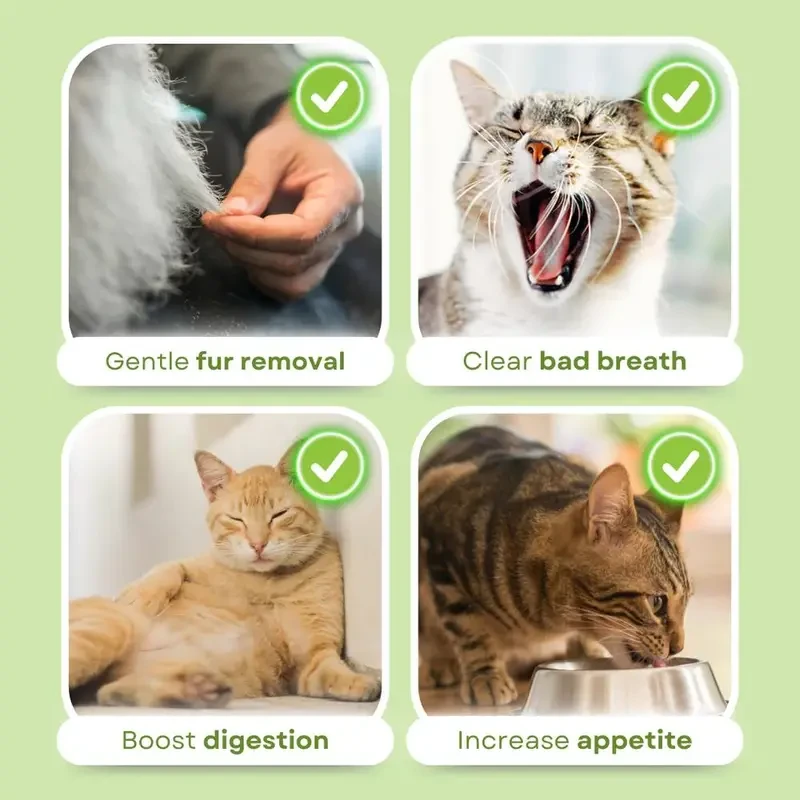 Cat Grass Teething Sticks for Hairball Control - Natural Cat Dental Care Treat with Chicken Flavor