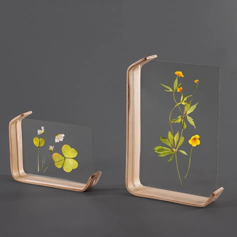 Wooden Acrylic Creative Specimen Photo Frame