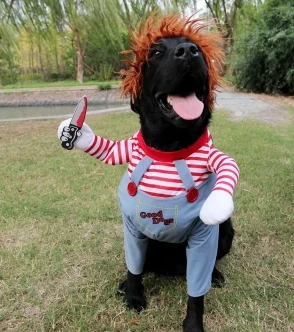 Pet Dog Funny Clothes