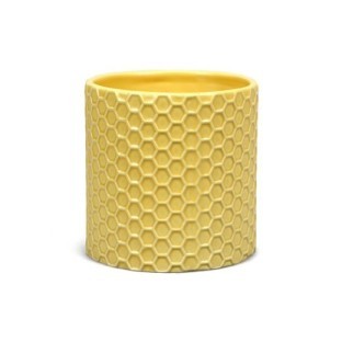 Disney Plant Pot : Winnie The Pooh - Honeycomb