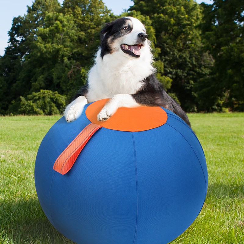 Funny Shiba Inu Corgi Self-Hi Pet Training Ball