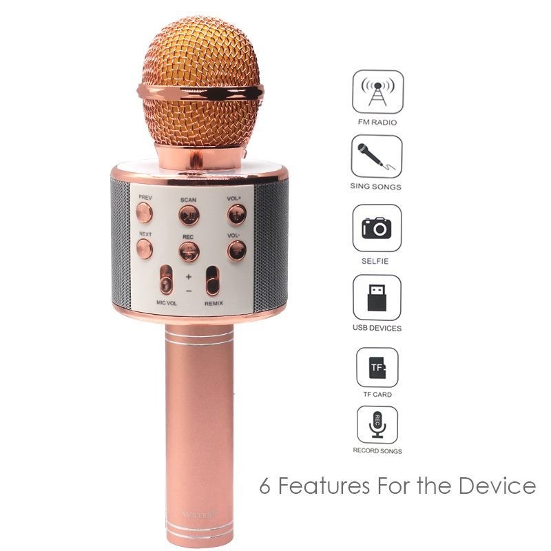 Wireless Microphone HIFI Speaker - WS 858, Original.