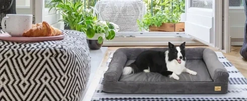 Extra Large Dog Sofa Bed Memory Foam Calming Orthopedic Pet Mattress Cushion Waterproof Bolster Dog Couch Bedding with Pillow and Removable Washable Cover Grey