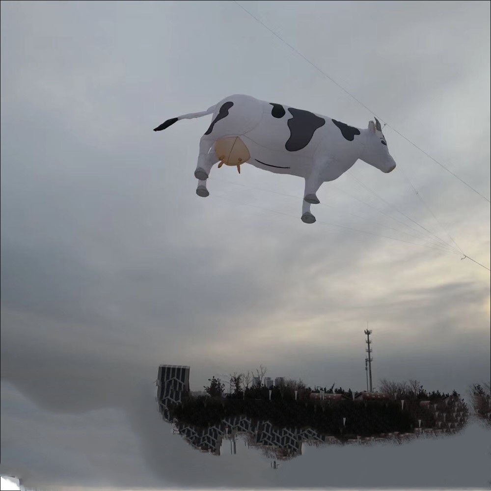 Daisy Cow: Soft, Three Meters with Pink tits
