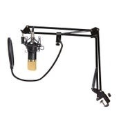 Condenser Microphone with Arm