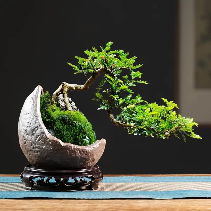Vintage Ceramic Bonsai Pot with Drainage Hole
