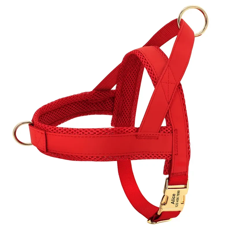 Personalized Large Dog Vest Harness with Custom Lettering