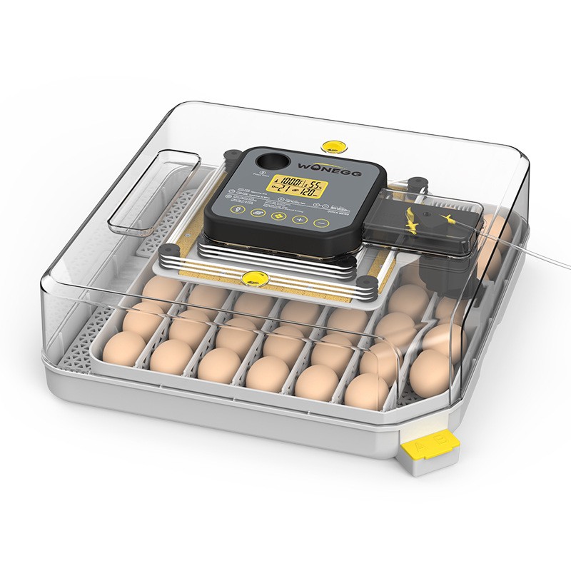 48 Pieces Egg Incubator Automatic Humidity Control Temperature Control Household Incubator