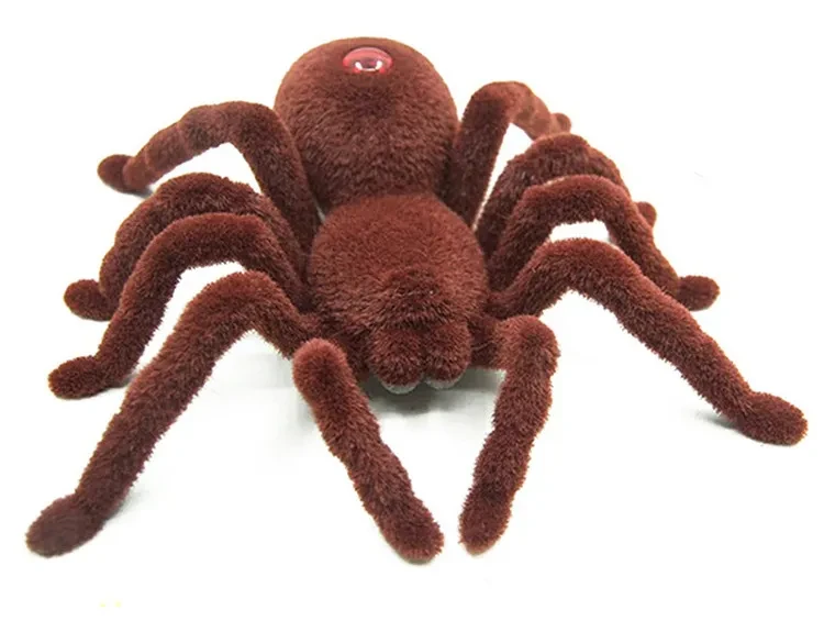The spider toy