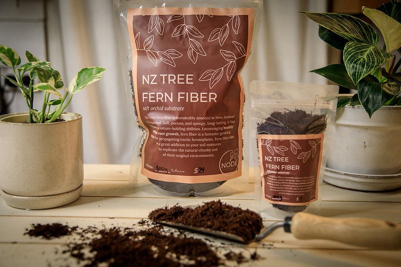 Tree Fern Fiber