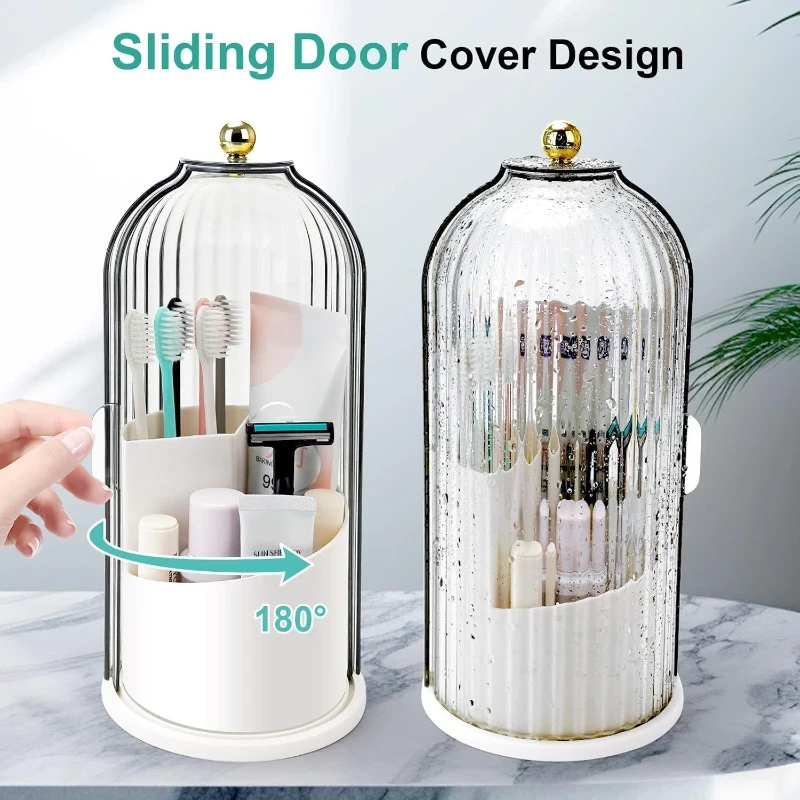 Toothbrush and Toothpaste Holder