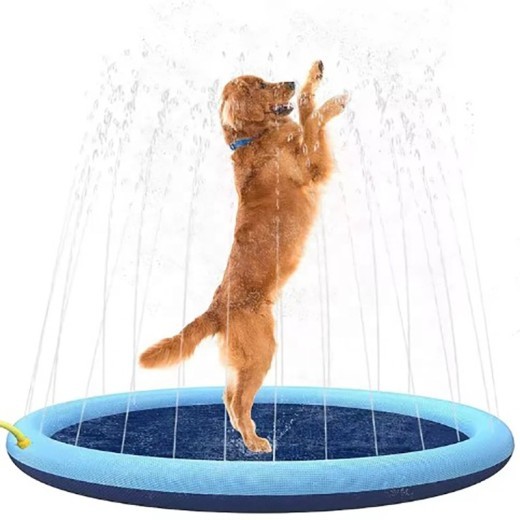 Dog Paddling Pool
