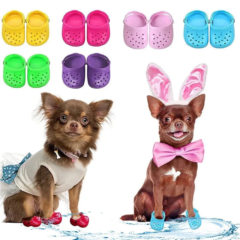 Dog Crocs