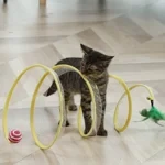 Folded cat tunnel