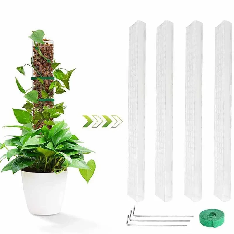 Moss Plant Support